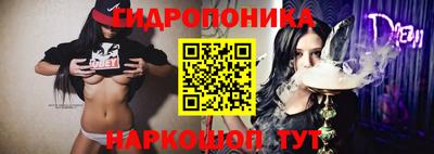 jwh Лесосибирск